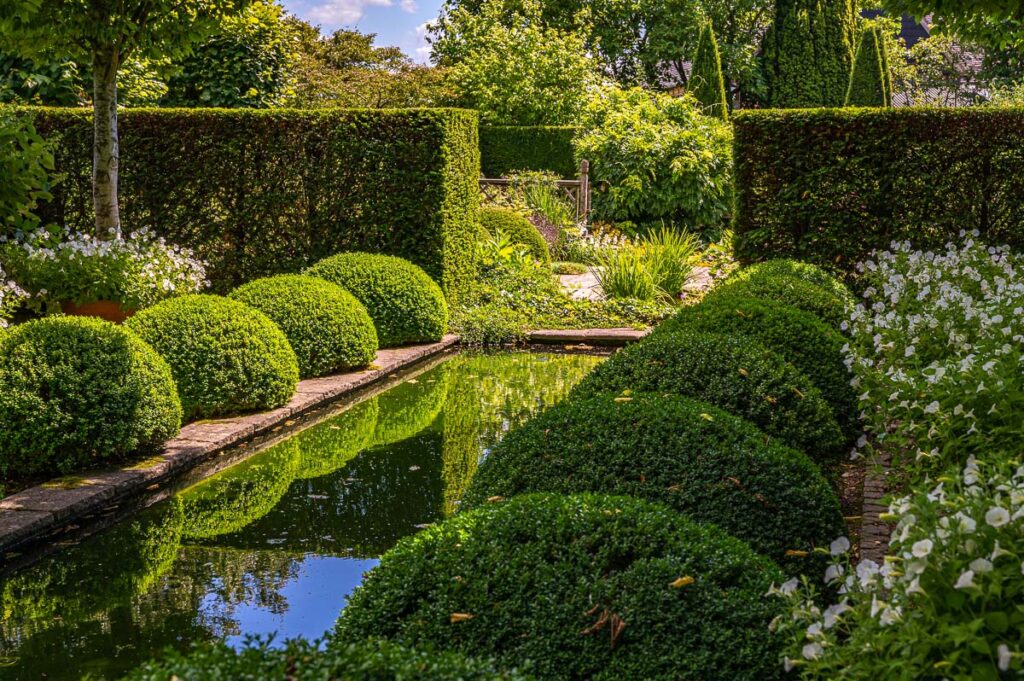 Clipped box balls repeated alongside water feature