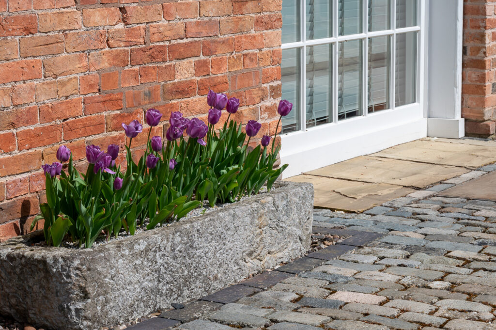 spring bulbs in a trough container near a doorway