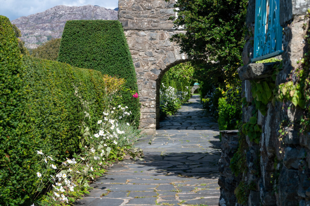 Repeating materials and plant colours to create cohesion in a garden.