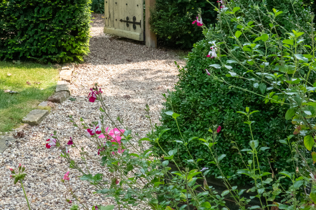 Gravel garden path with mixed planting and timber gate