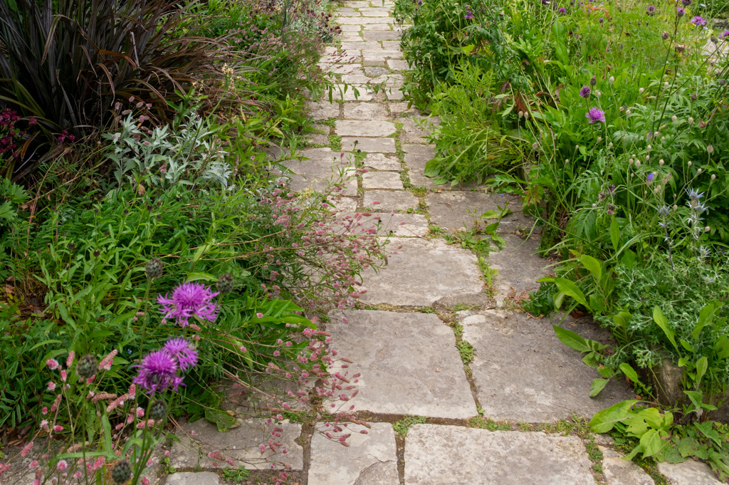Natural stone garden path with planting weaving between slabs